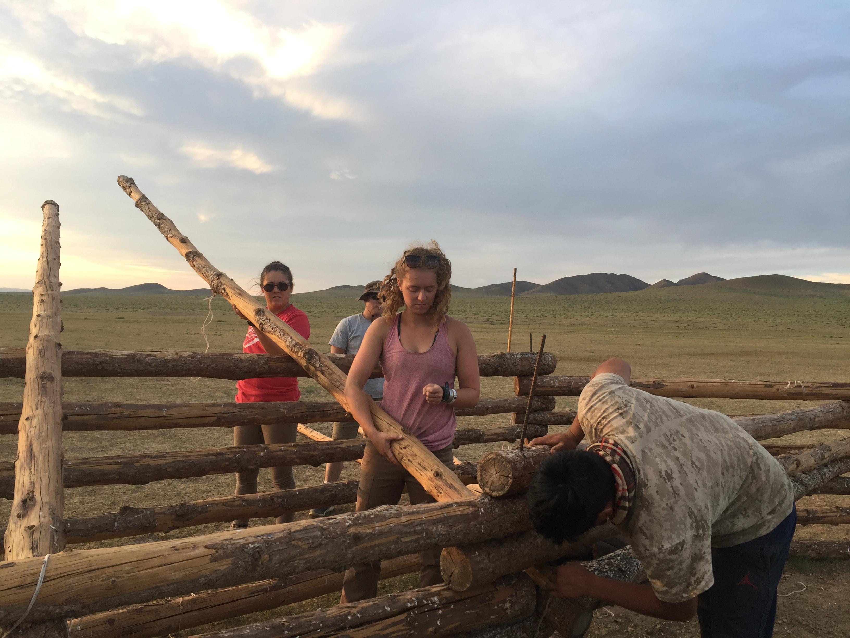 Group of Projects Abroad Nomad Project Volunteers are building a fence made out of wood during their Mongolian Nomad Cultural Experience. Culture and Community Volunteers are building a fence out of wood on a Nomad Project in Mongolia.